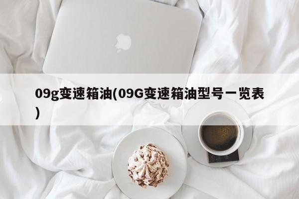 09g变速箱油(09G变速箱油型号一览表)