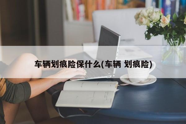 车辆划痕险保什么(车辆 划痕险)