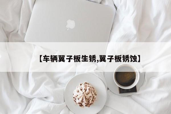 【车辆翼子板生锈,翼子板锈蚀】