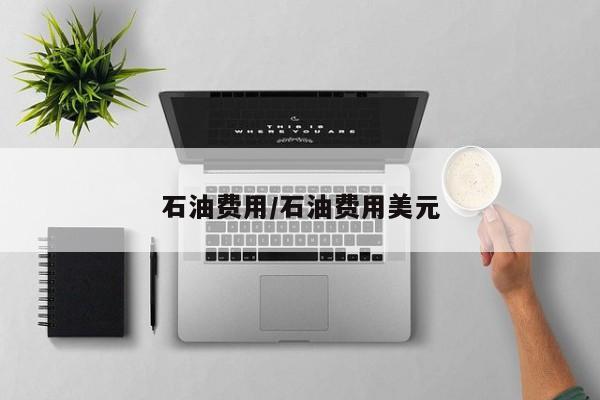 石油费用/石油费用美元