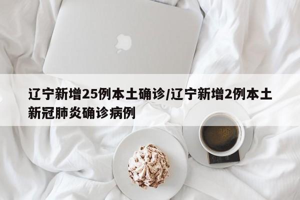 辽宁新增25例本土确诊/辽宁新增2例本土新冠肺炎确诊病例