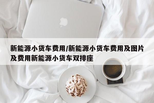 新能源小货车费用/新能源小货车费用及图片及费用新能源小货车双排座