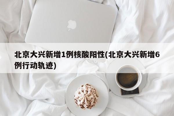 北京大兴新增1例核酸阳性(北京大兴新增6例行动轨迹)