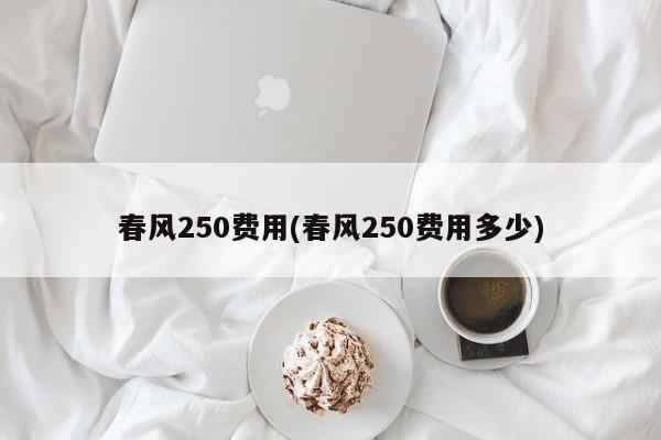 春风250费用(春风250费用多少)