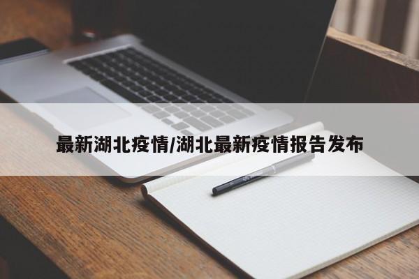 最新湖北疫情/湖北最新疫情报告发布