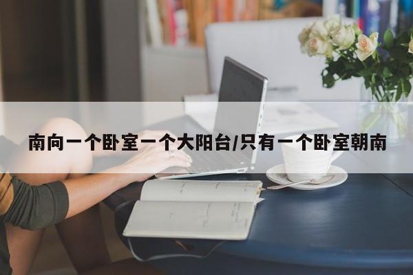 南向一个卧室一个大阳台/只有一个卧室朝南