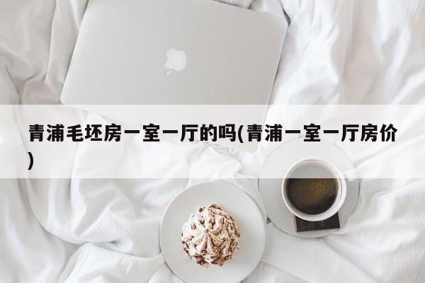 青浦毛坯房一室一厅的吗(青浦一室一厅房价)