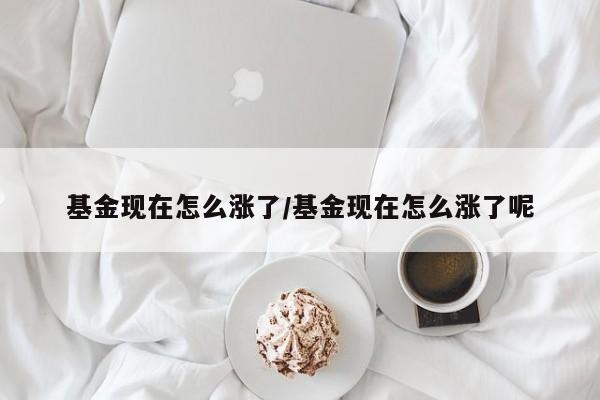 基金现在怎么涨了/基金现在怎么涨了呢