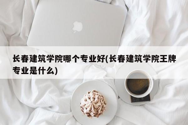 长春建筑学院哪个专业好(长春建筑学院王牌专业是什么)