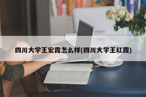 四川大学王宏霞怎么样(四川大学王红霞)