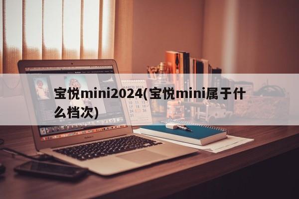 宝悦mini2024(宝悦mini属于什么档次)