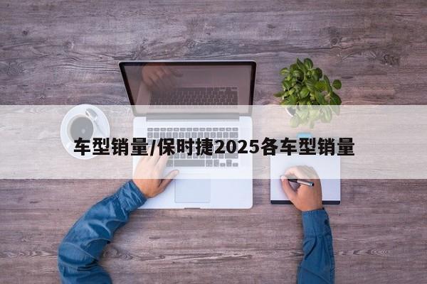车型销量/保时捷2025各车型销量