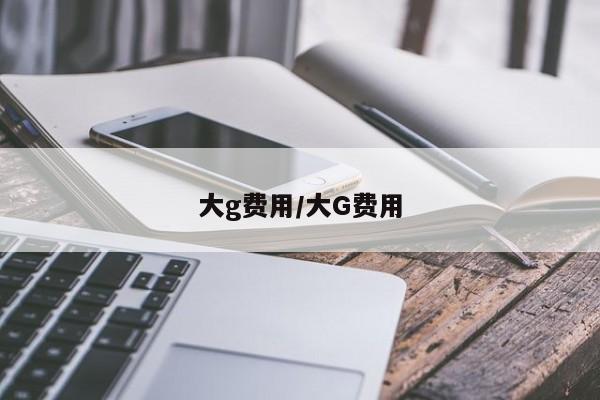 大g费用/大G费用
