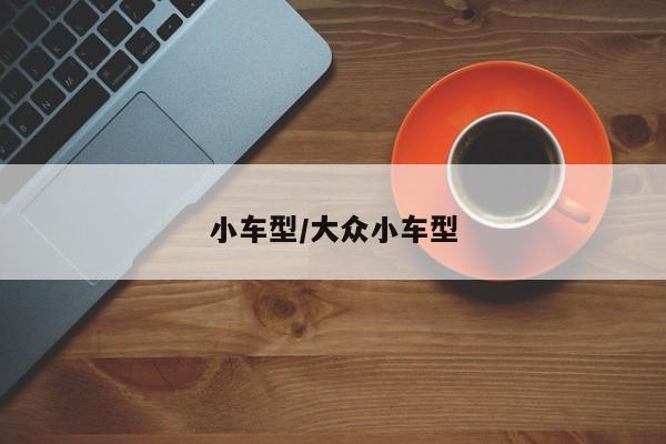 小车型/大众小车型