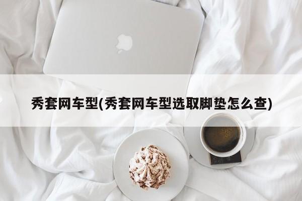秀套网车型(秀套网车型选取脚垫怎么查)