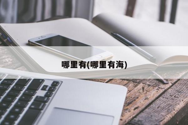 哪里有(哪里有海)