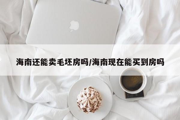 海南还能卖毛坯房吗/海南现在能买到房吗