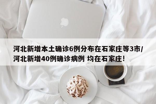 河北新增本土确诊6例分布在石家庄等3市/河北新增40例确诊病例 均在石家庄!