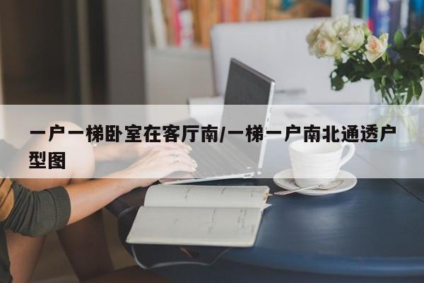一户一梯卧室在客厅南/一梯一户南北通透户型图
