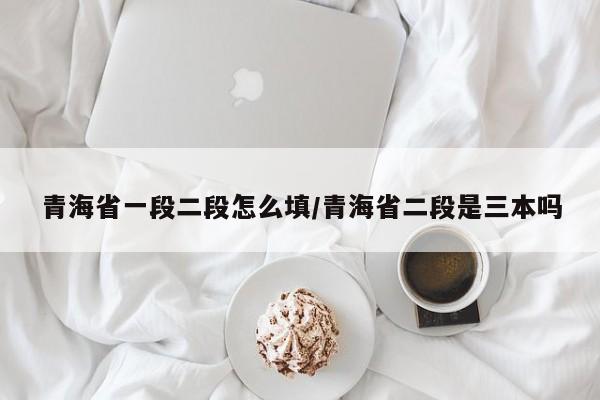 青海省一段二段怎么填/青海省二段是三本吗