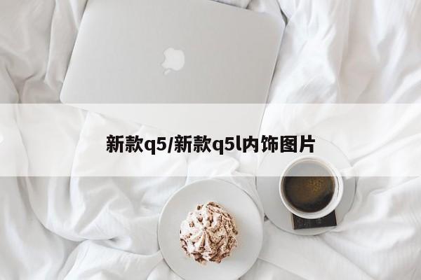 新款q5/新款q5l内饰图片