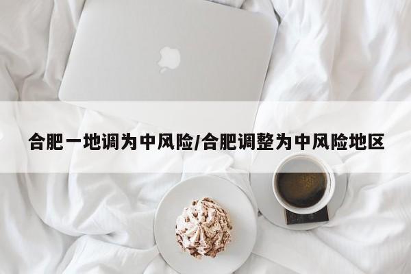 合肥一地调为中风险/合肥调整为中风险地区