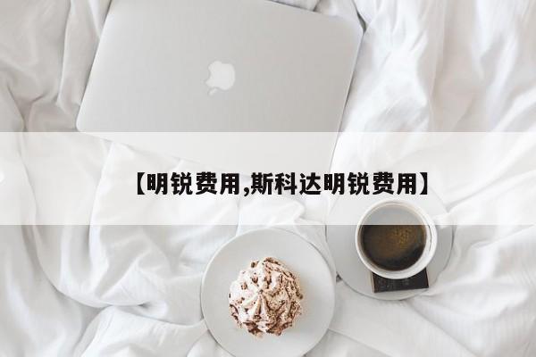 【明锐费用,斯科达明锐费用】