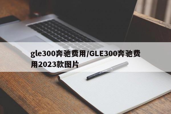 gle300奔驰费用/GLE300奔驰费用2023款图片