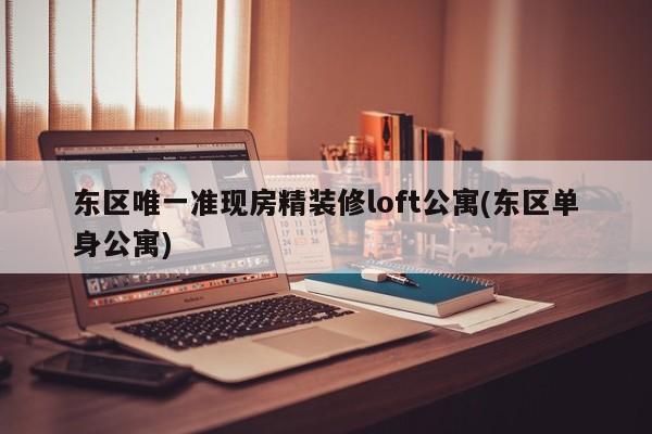 东区唯一准现房精装修loft公寓(东区单身公寓)
