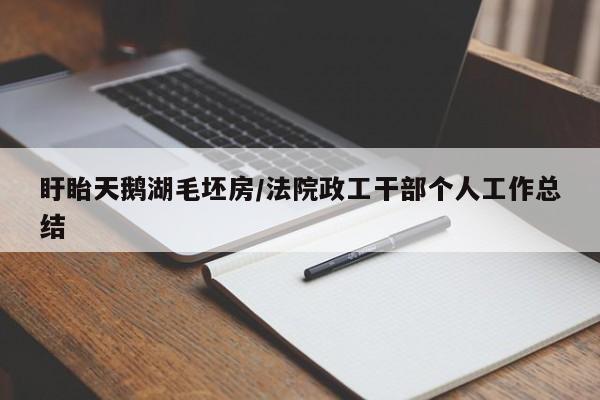 盱眙天鹅湖毛坯房/法院政工干部个人工作总结