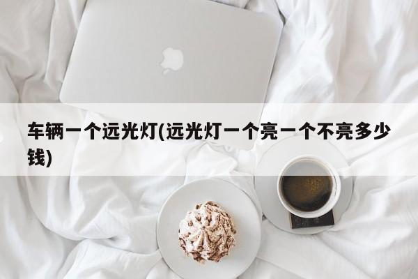 车辆一个远光灯(远光灯一个亮一个不亮多少钱)