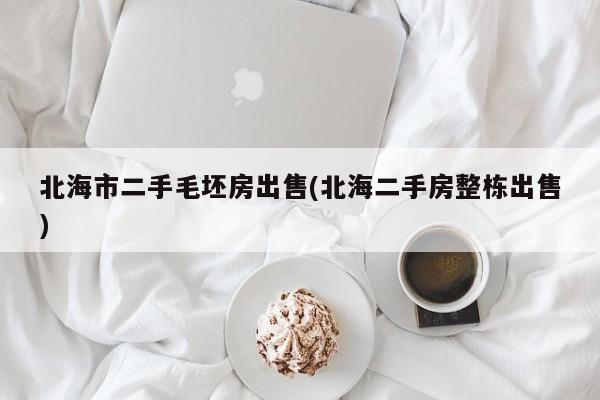 北海市二手毛坯房出售(北海二手房整栋出售)