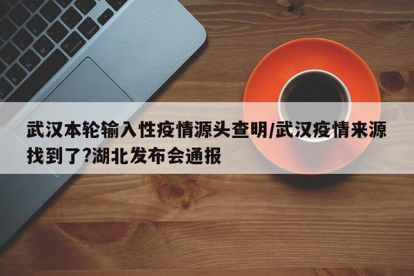 武汉本轮输入性疫情源头查明/武汉疫情来源找到了?湖北发布会通报
