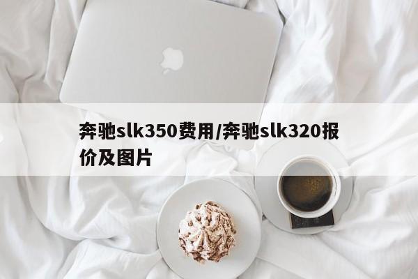 奔驰slk350费用/奔驰slk320报价及图片