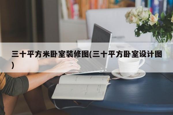 三十平方米卧室装修图(三十平方卧室设计图)