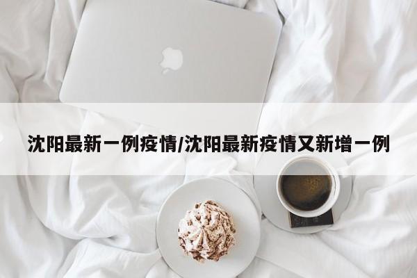 沈阳最新一例疫情/沈阳最新疫情又新增一例