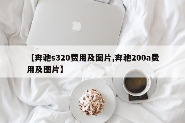 【奔驰s320费用及图片,奔驰200a费用及图片】