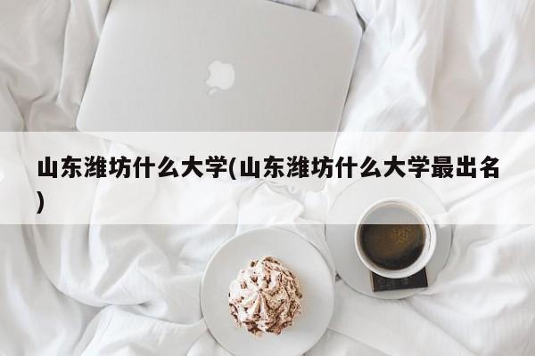 山东潍坊什么大学(山东潍坊什么大学最出名)