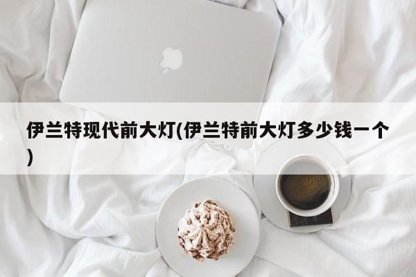 伊兰特现代前大灯(伊兰特前大灯多少钱一个)